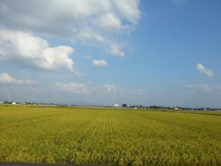 13496550671060-731905