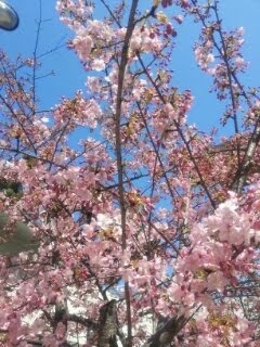 13931354617571-741263